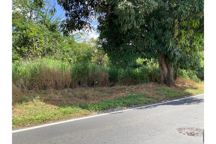 Oportunidad de inversión en Caguas