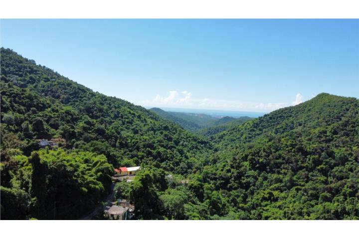 Solar en venta en Barrio - Guaraguao